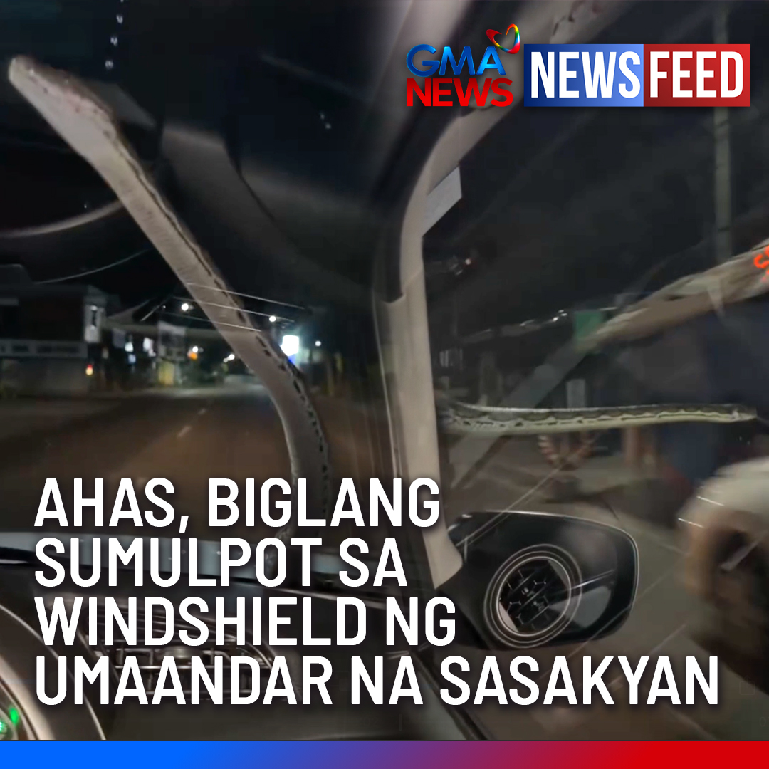 Viral ang video ng magkakaibigang binulaga ng isang ahas sa gitna ng kanilang biyahe mula sa San Pablo, Laguna. Ang ahas, tila nagpabitin sa windshield ng kanilang sasakyan habang umaandar ito. Ang mga detalye, panoorin sa video na ito.