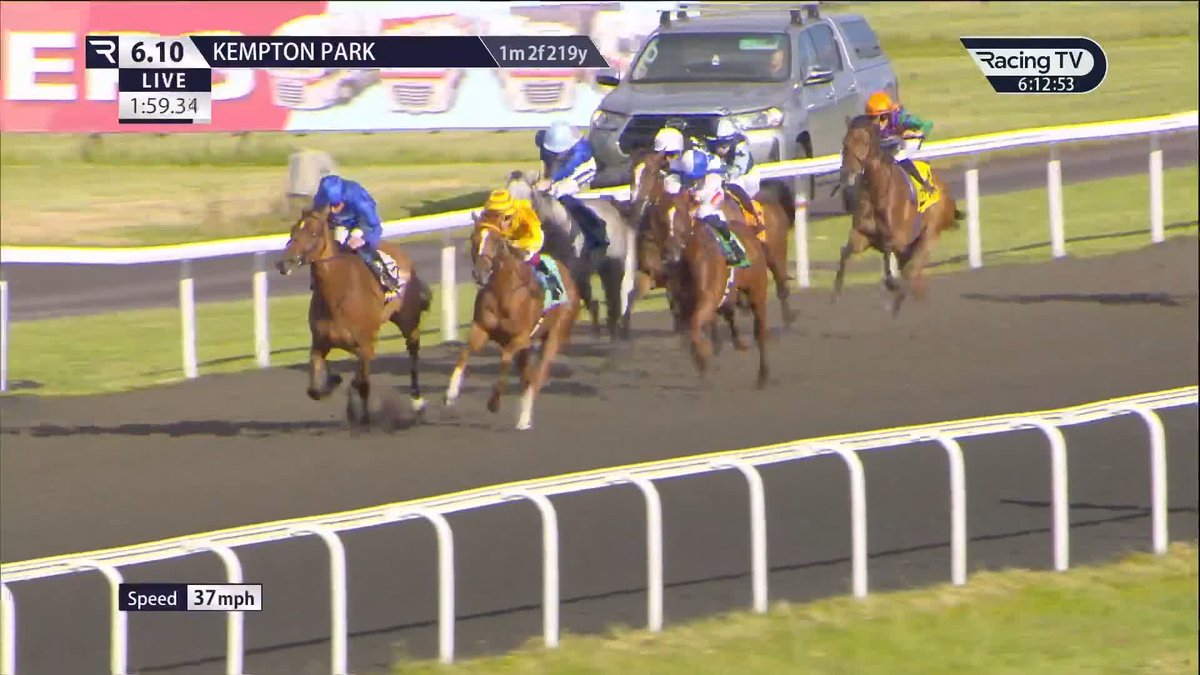 👑 Tribal Queen (Frankel) sheds her maiden tag in style under William Buick for Charlie Appleby and Godolphin 💙 Unibet Racing | British EBF | Kempton Park Racecourse
