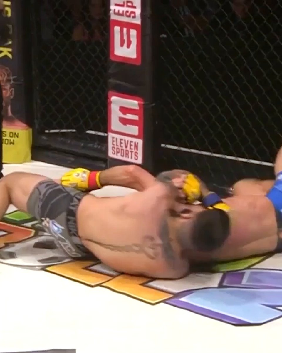 Ready to show out at the White House 🇺🇸 Replay these nasty finishes from out #UFCFreedom250 fighters!
