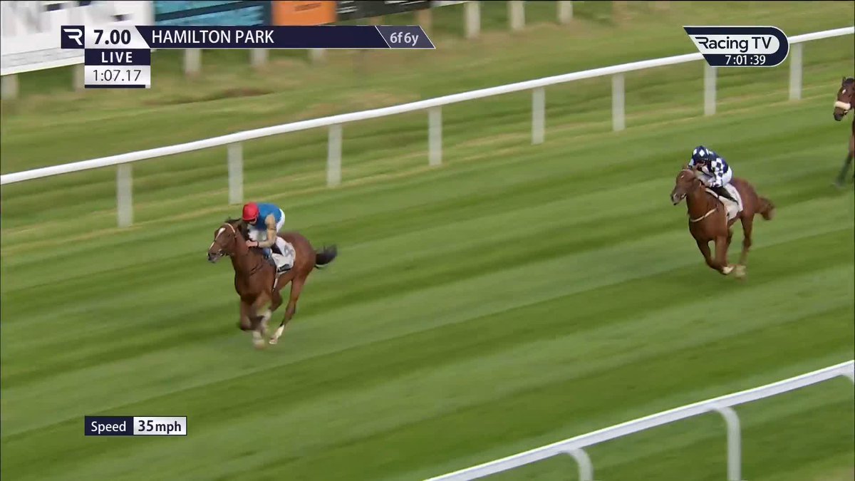 Wow! 🤩 €800,000 breeze-up buy Royal Heritage (Blue Point) makes a comfortable winning start to his career under James Doyle for Hamad Al Jehani and Wathnan Racing 💫 Hamilton Park