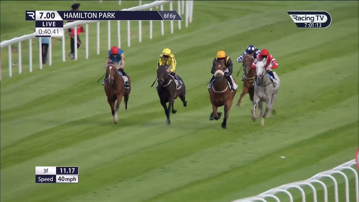 That was seriously impressive! 🚀 🔴🔵🟡 ROYAL HERITAGE an €800,000 breeze-up purchase laughs at his rivals on debut for Wathnan Racing under James Doyle. This son of Blue Point looks rather exciting, that was a flawless debut at Hamilton.