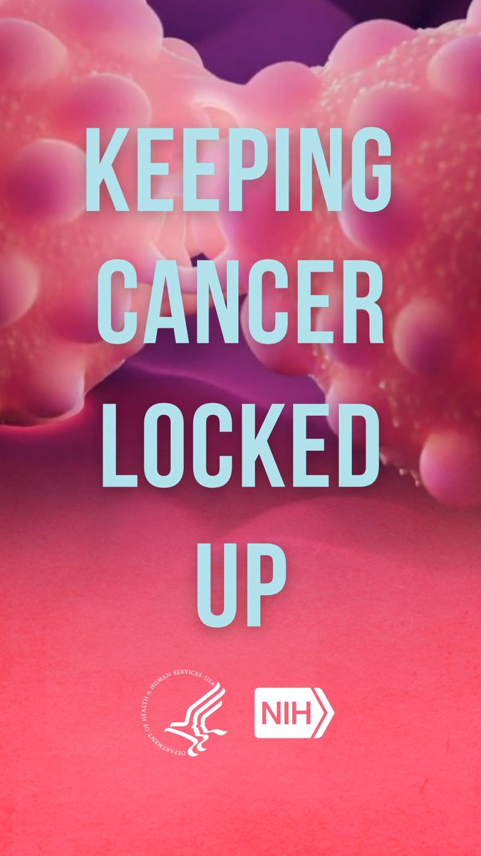 What if scientists knew how to stop or slow the spread of cancer cells to other parts of the body? This process, also known as cancer metastasis, is responsible for the majority of cancer deaths. NIH researchers are studying this process with hopes of preventing it from happening. 🎥 Watch the full video to learn more: