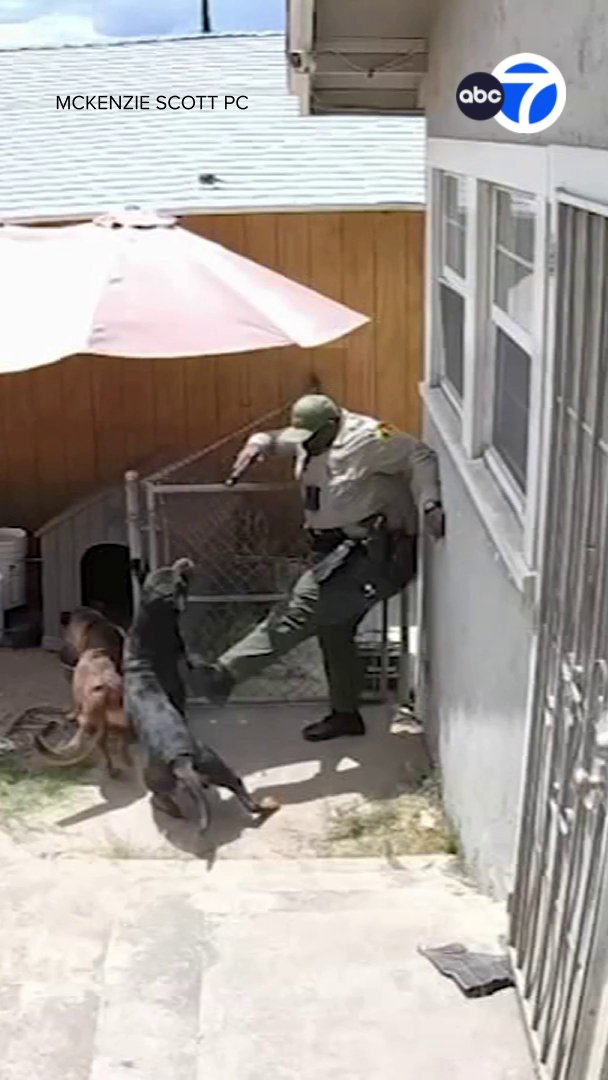 A SoCal family is distraught after a San Bernardino County sheriff's deputy entered their backyard without a warrant and killed one of the family dogs. The incident was caught on surveillance video. Full story: