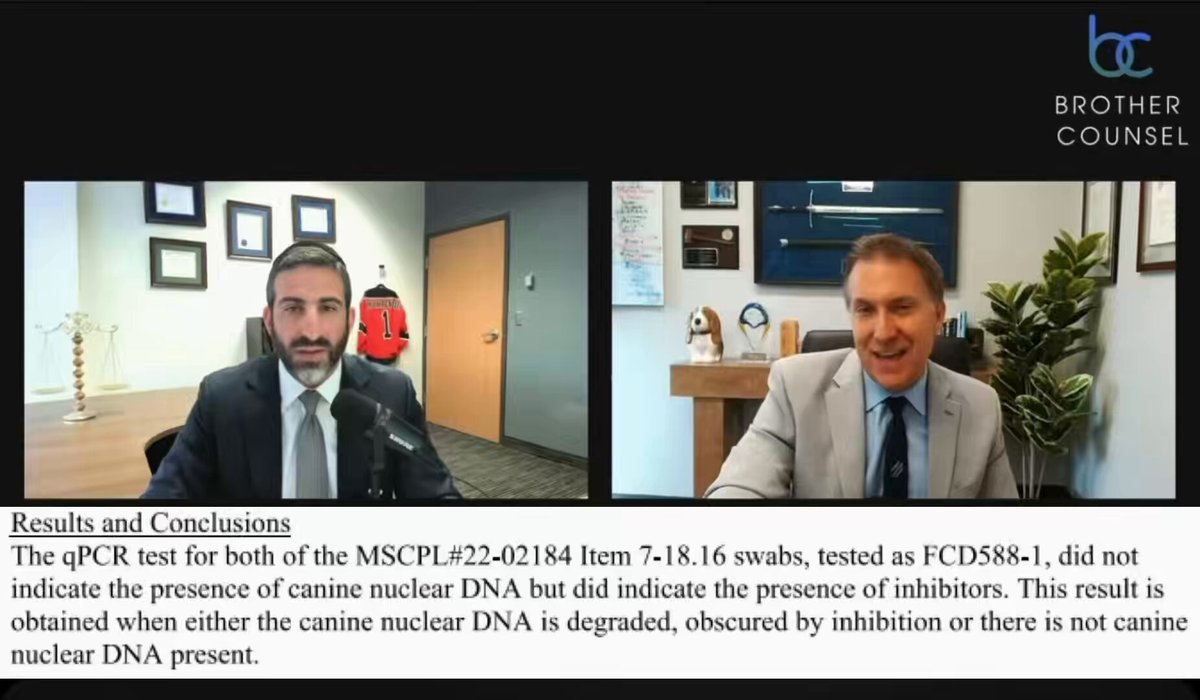 Dave Aronberg debating Brother Counsel is a reminder that prosecutors who refuse to question law enforcement negligence and speak with such arrogance about facts they don’t fully understand are how innocent people end up in prison. Mistruth #1: “No Dog DNA” Truth: The results were inconclusive. On January 29, 2022, John O’Keefe’s clothing was collected from the hospital floor by Proctor. Instead of turning the items over to CSSS, he took them to the temporary evidence room and laid them out on butcher paper to dry, in an open area all troopers had access to. No chain of custody log exists. The clothing was not delivered to the MSP Crime Lab until March 14, six weeks later. It then sat for 14 months before being tested by MSP analyst Hartnett. Dog DNA testing resulted in no dog DNA, but it was also noted degradation and the presence of an inhibitor are possible reasons. Pig DNA was identified. Adam Lally also failed to preserve tissue samples from John O’Keefe’s right arm, injuries that appear consistent with dog bites to most observers. Chloe, the McAlbert dog was “rehomed” and renamed Cora soon after Karen Read’s defense team wanted information regarding the dog, given John O’Keefe’s arm injuries appear as from a dog attack. 📺