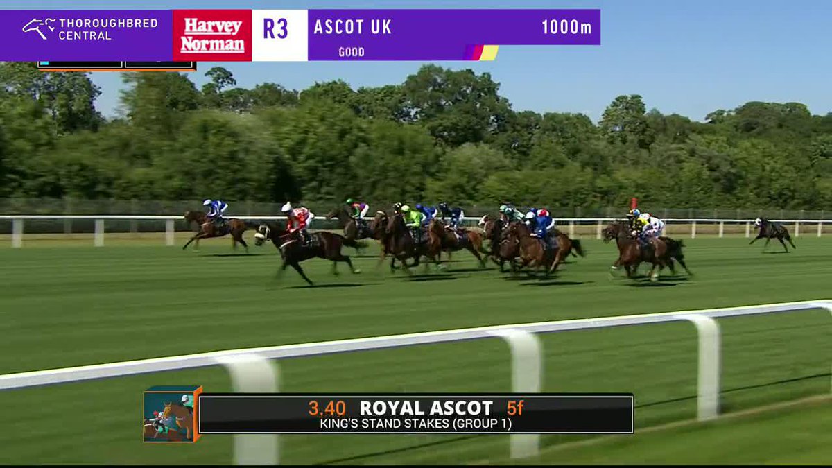 Royal Ascot going to be another belter. No rain Opera Ballo v Notable Speech Guineas triple threat: Bow Echo 🇬🇧 v Gstaad🇮🇪 v Rayif 🇫🇷 Daryz v Ombudsman Scandinavia v Rahiebb Precise v True Love Joliestar v the clock Ryan Moore v punters Bring it on