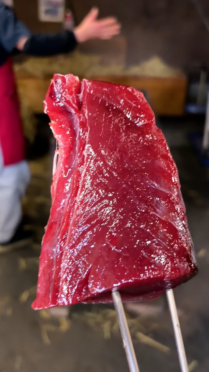 【火力も肉厚もレベチ】一瞬で焼き上げる！豪快すぎる「カツオの藁焼き」 / Straw-seared Skipjack Tuna🐟🔥