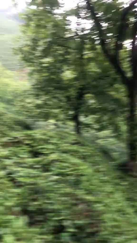 Rize’de bir çay işçisi, topladığı çayları araca taşımak için geliştirdiği dahice yöntemle 700 metrelik mesafeyi sadece 10 saniyede kat ederek görenleri hayrete düşürdü.