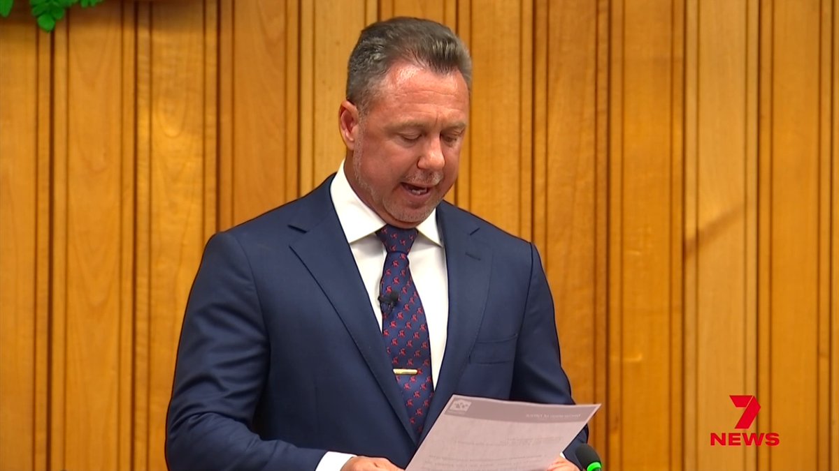 7NEWS has new details on an alleged assault that's sparked a police investigation into a Queensland mayor. Townsville's Nick Dametto is accused of attacking an LNP staffer during a Magnetic Island pub crawl. Marlina Whop