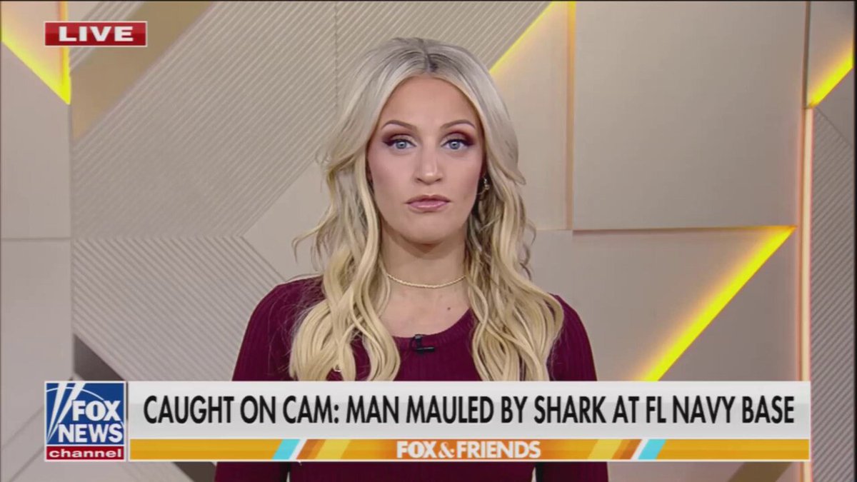🚨 GRAPHIC SHARK ATTACK IN FLORIDA PANHANDLE, NAVY EMPLOYEE MAULED Terrifying footage out of Panama City Beach at the Naval base: A Navy employee snorkeling with his co-worker was brutally attacked by a shark. Both arms severely injured in the vicious mauling before brave beachgoers rushed in to save him. Prayers for a full recovery for the victim.