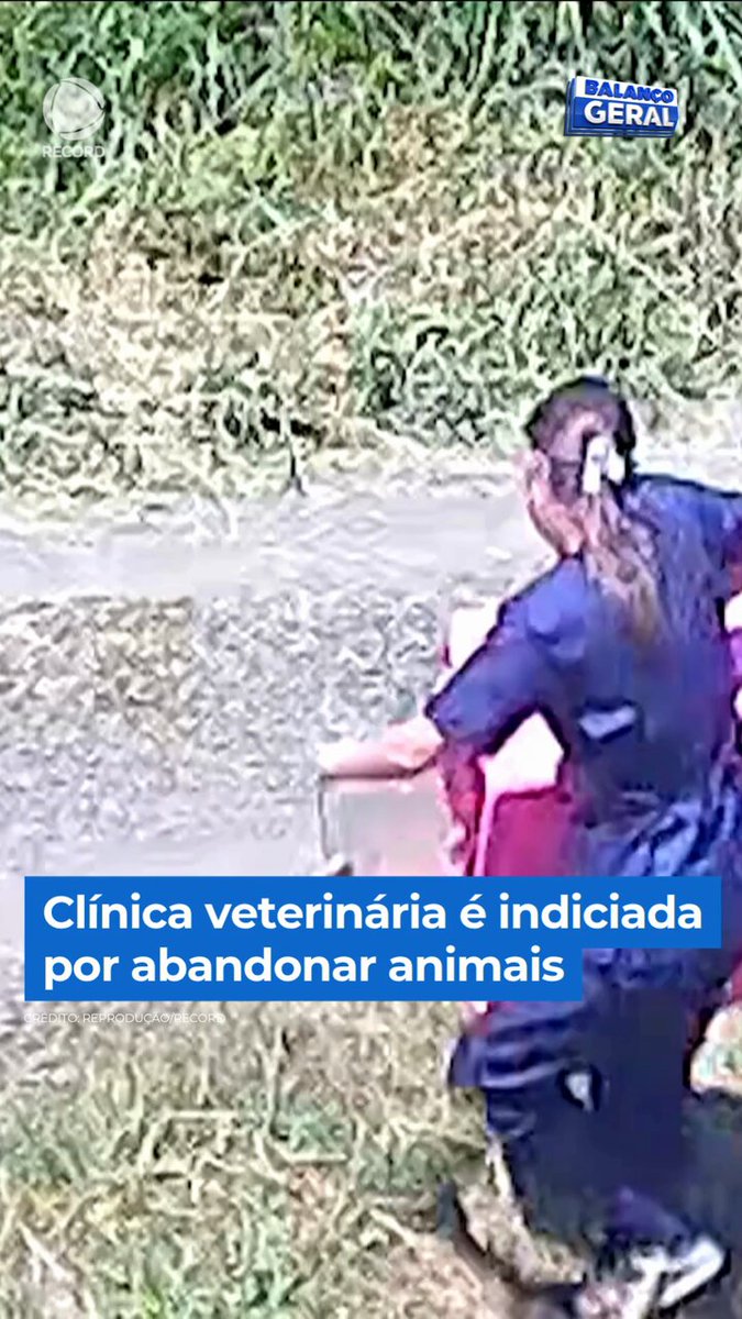 Uma clínica veterinária foi indiciada por abandono de animais no Paraná. Imagens mostram funcionários da empresa abandonando dois cães no meio de uma rua e deixando os animais sozinhos. Os envolvidos são investigados por suspeita de maus-tratos aos animais. #BalançoGeralManhã 👉 Assista à reportagem completa do #BalançoGeral em