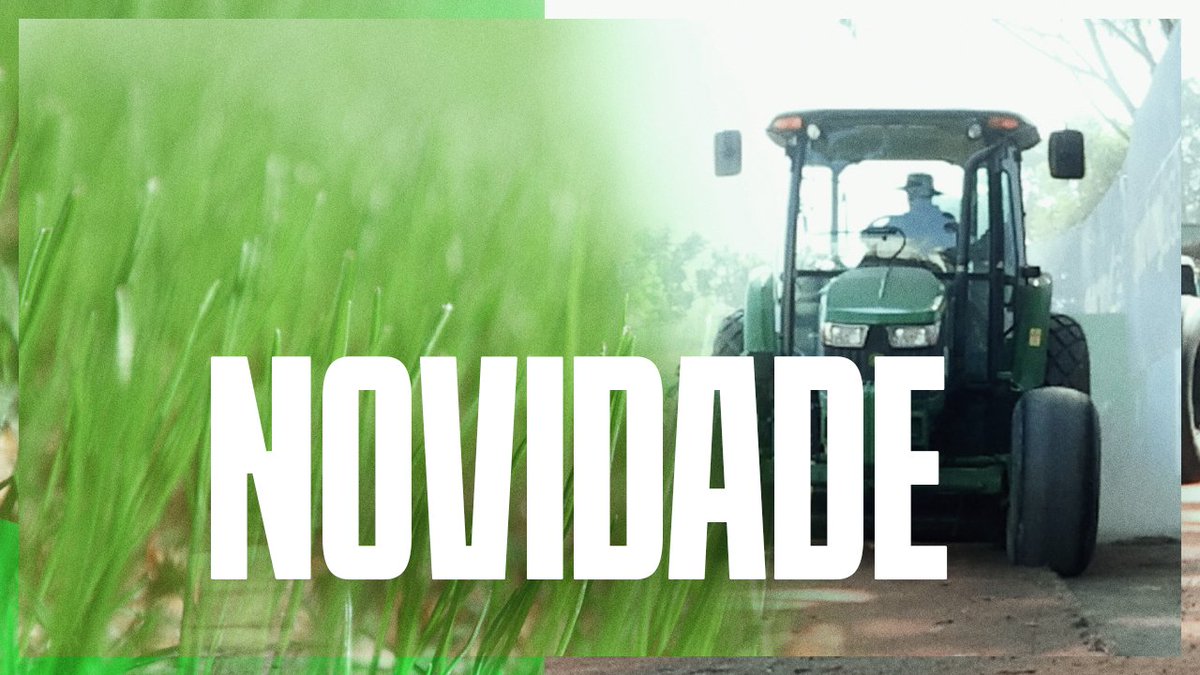 GRAMADO DE COPA! 🐷 Aproveitamos o período sem jogos oficiais do time profissional masculino para reformar os dois campos de grama natural da Academia de Futebol! ➤