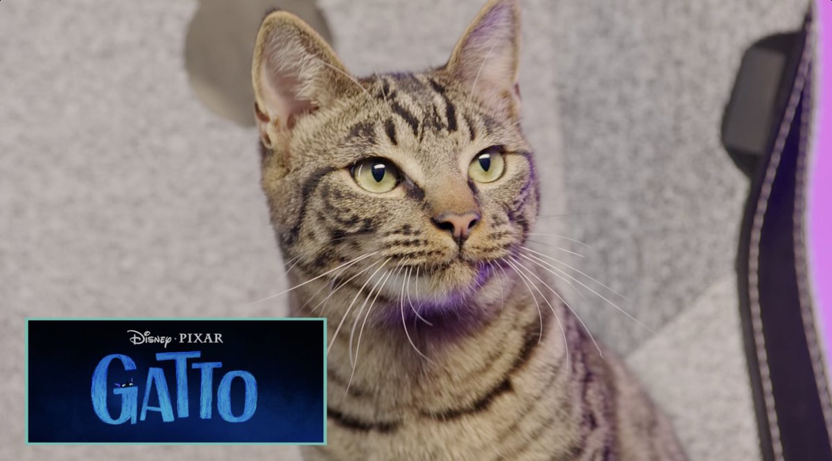 cat approved ✅ Disney &amp; Pixar's #Gatto, arrives only in theaters March 5, 2027