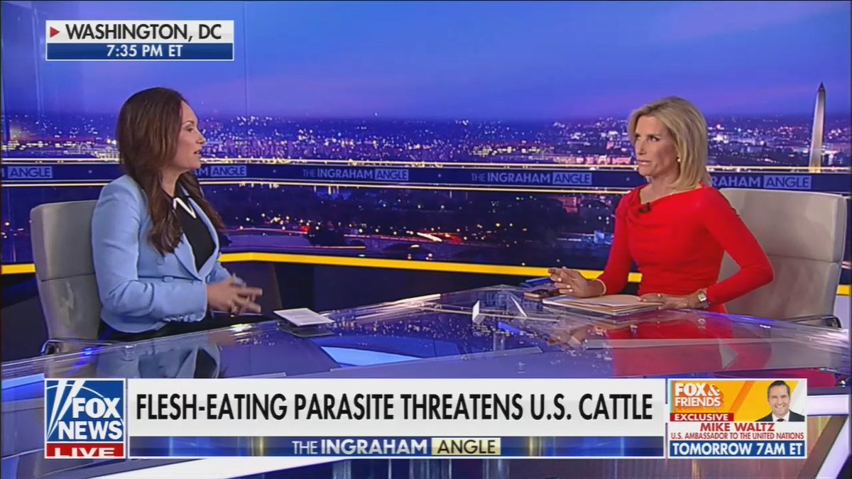Brooke Rollins warns it could take up to a decade to eradicate Screwworm: In the 1950s and 1960s, Screwworm infested our beef supply. It took a decade to get over it.