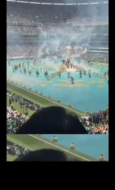 El mundial del despojo
