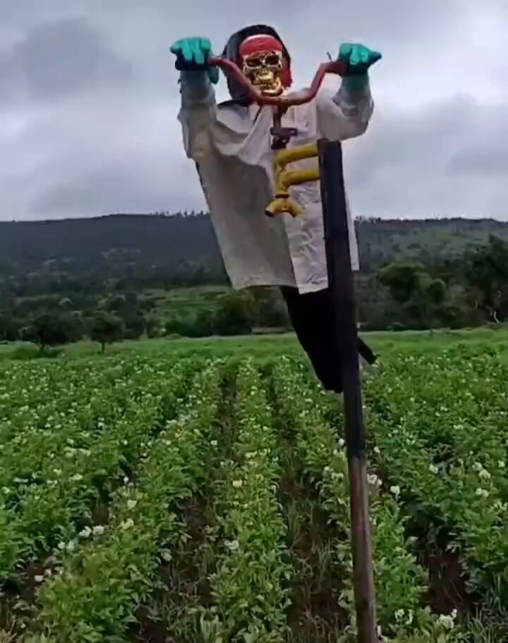 पुतला ऐसा बनाओ कि रात को मालिक भी डर जाए! 😂😂😂😂