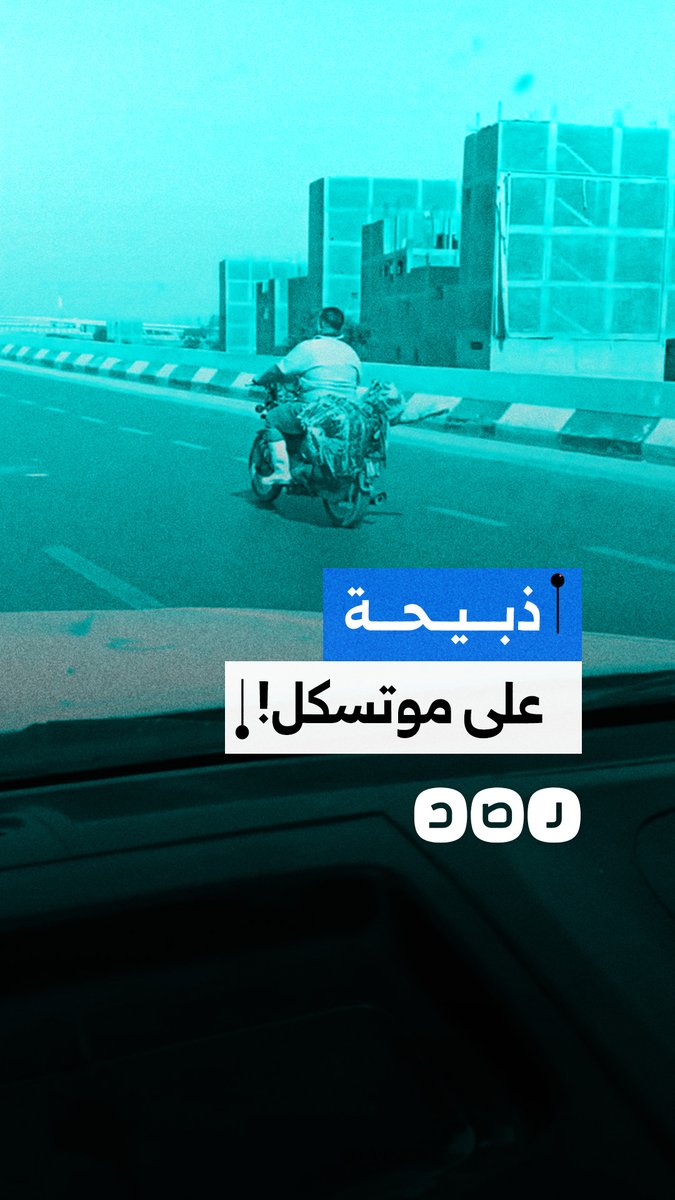 مواطن يوثق نقل ذبيحة مكشوفة على متن دراجة نارية ويحذر من تلوثها بالبكتيريا