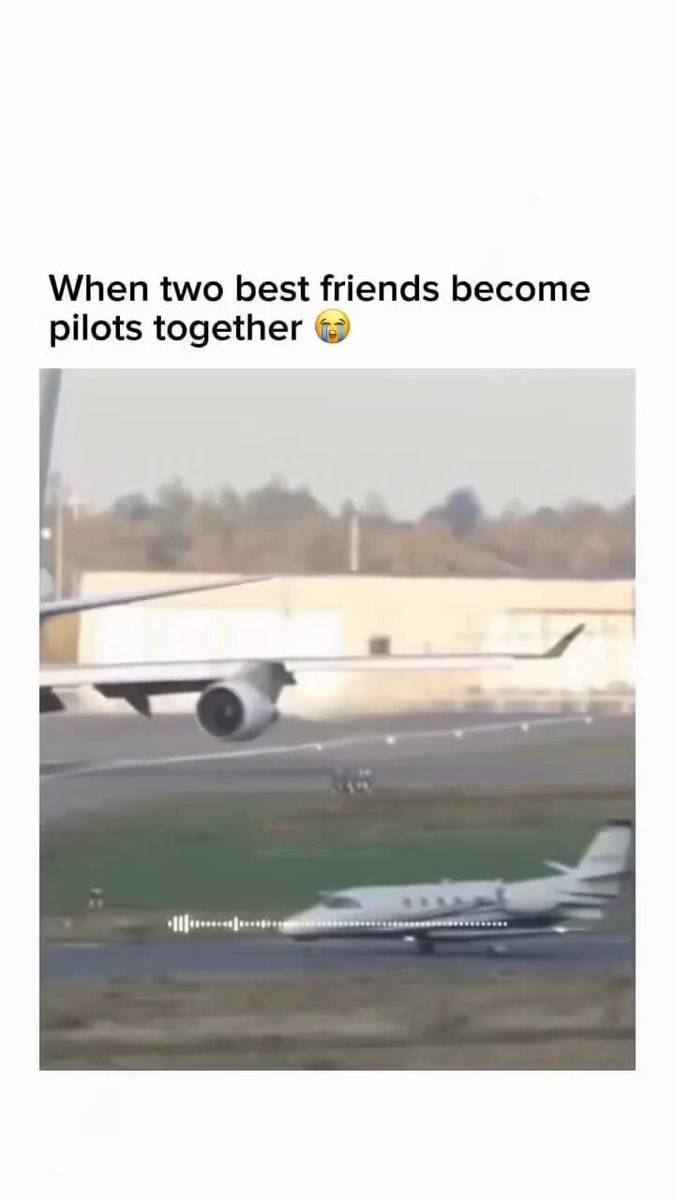 "Damn mosquito" 🤣