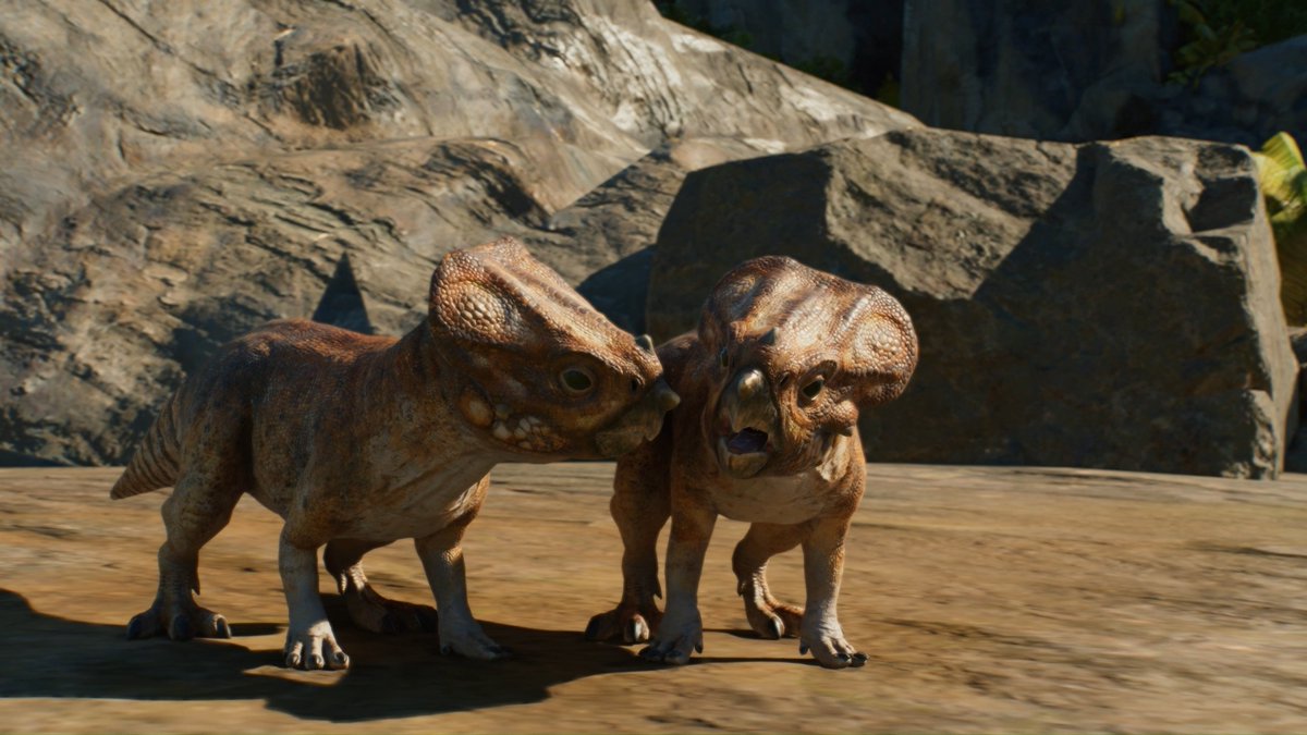 The Aquilops may be small in size but they're huge in appeal! Featuring a unique striped tail, this new herbivorous family unit brings variety to the Ceratopsian roster! Learn more: