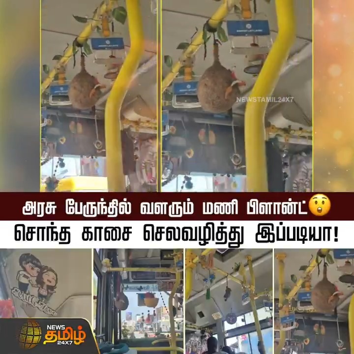 அரசு பேருந்தில் வளரும் மணி பிளான்ட்😲...சொந்த காசை செலவழித்து இப்படியா! #Governmentbus #Moneyplant #Driver #Newstamil24x7