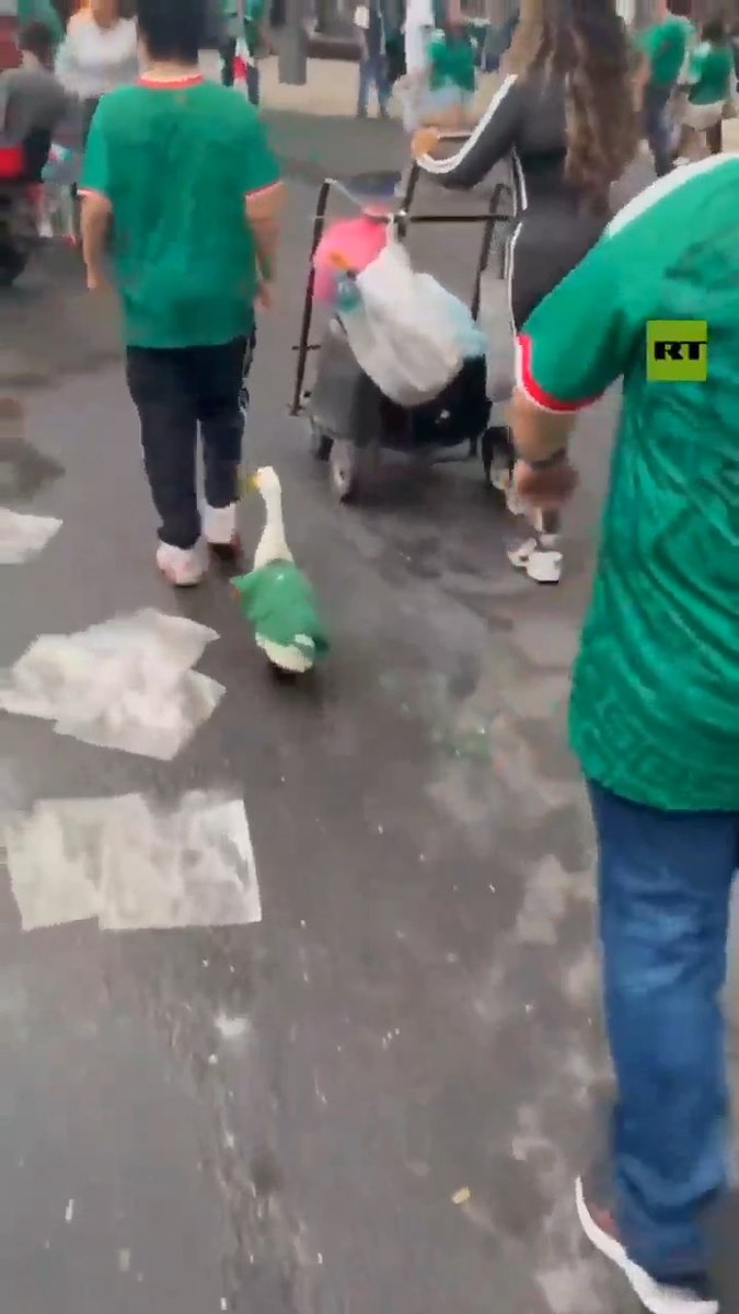DUCK GOES VIRAL for wearing Mexico World Cup jersey Is it duck season?