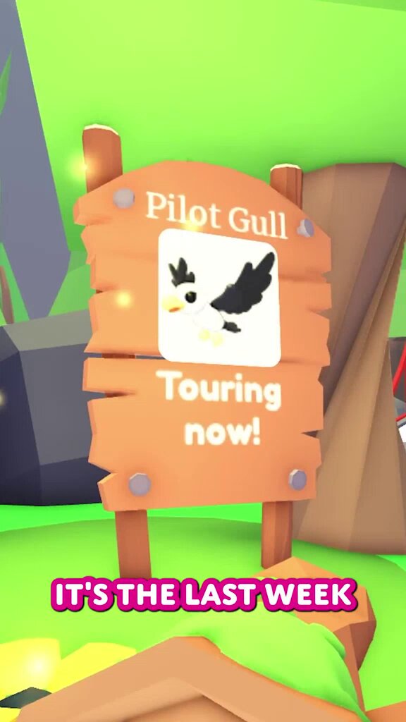 NEW UPDATE IN ADOPT ME! 🕊️ Catch Flight Feathers to recruit Pilot Gull! 😎 New pet wear for aviation adventures! 🧭 Collect Compass Coins in the sky!