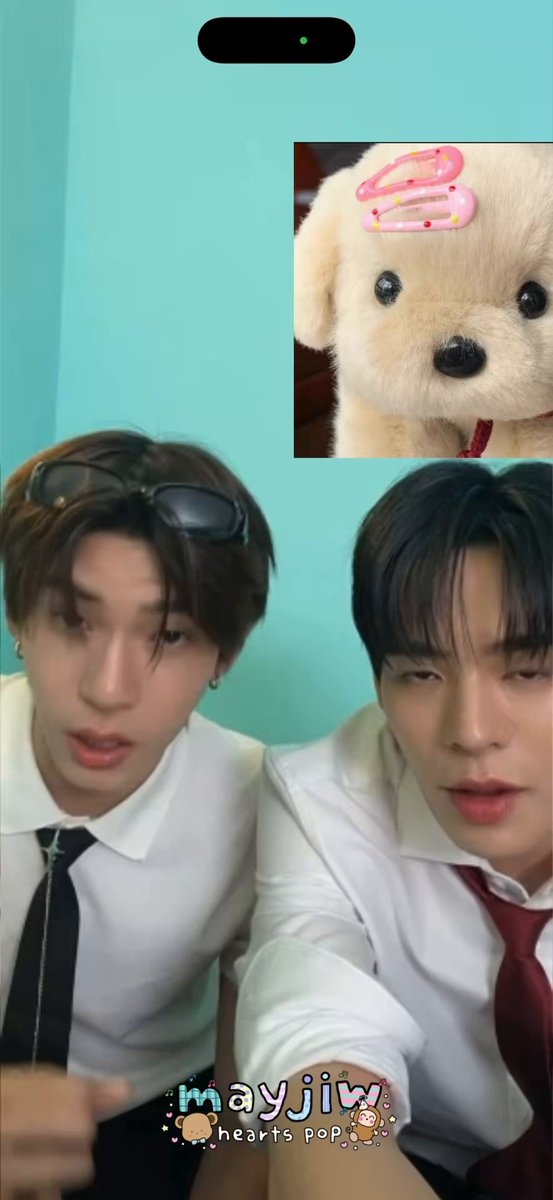 🐹: มีเรื่องจะบอก นี่จองตั๋วกลับไทยแล้วน้าเพื่อไปดูแฟนคอนกับกีฬาสี ขอให้กดบัตรได้แล้วเจอกันน้า 🐶: จริงป่ะ 🐻‍❄️: หรออ รีแอคชั่นของทั้งคู่คือน่ารักมาก😭🤍 LIVE WANGZAI POP X TTP #WantWantWithTeeTeePor #ตี๋ตี๋ป๋อ