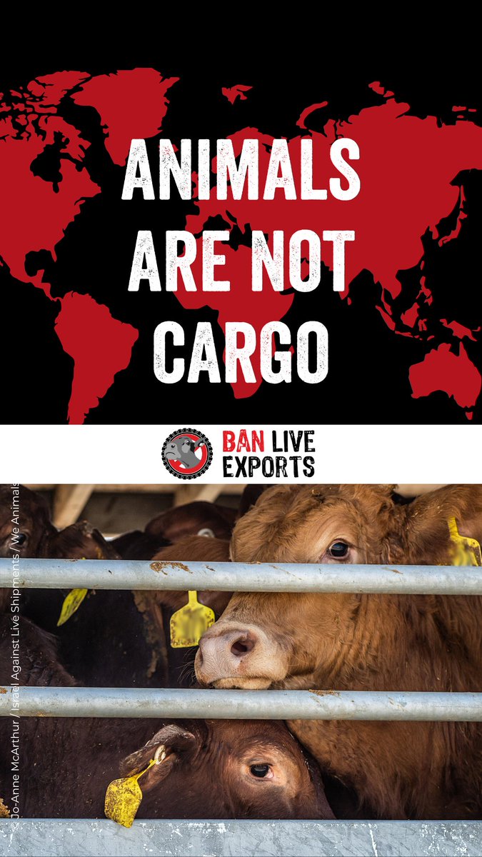 We've banned live exports from Britain, now we need this to happen around the world. We’ve written an open letter to the World Organisation for Animal Health (World Organisation for Animal Health) calling on them to end this inhumane trade. Add your name: #BanLiveExports