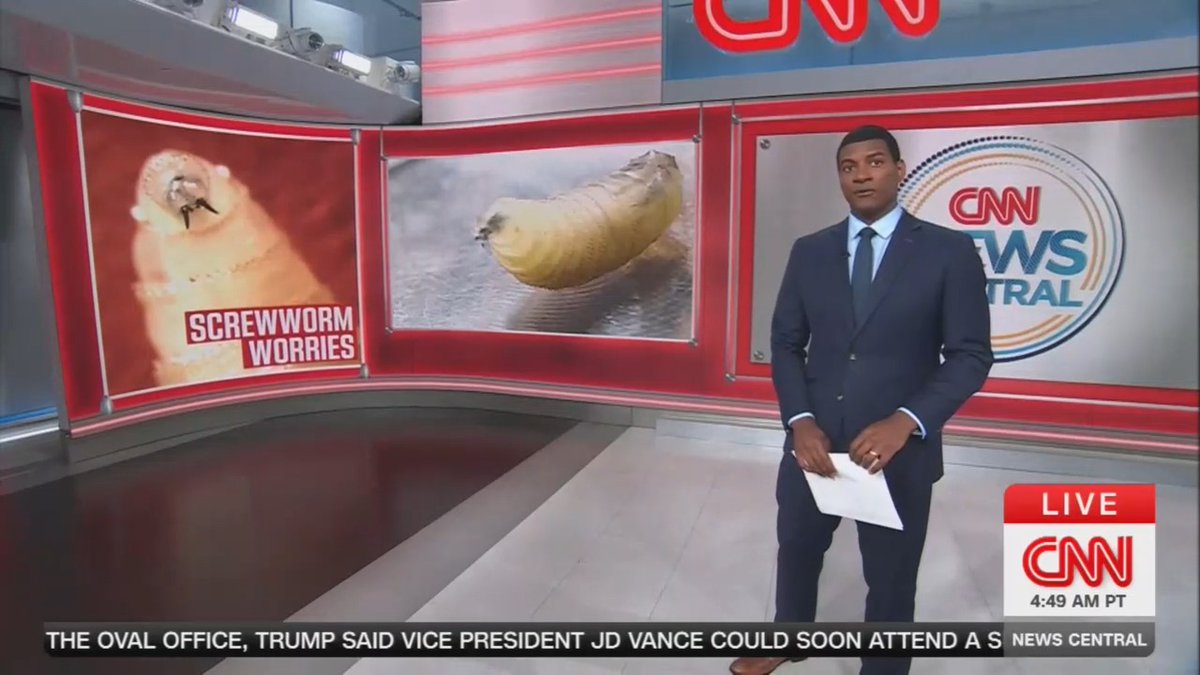 CNN: The screwworm is a parasite found on cattle that had been eradicated in the United States for decades. Experts warn this infestation could cost the economy billions and raise beef prices when Americans are already paying record-high prices.