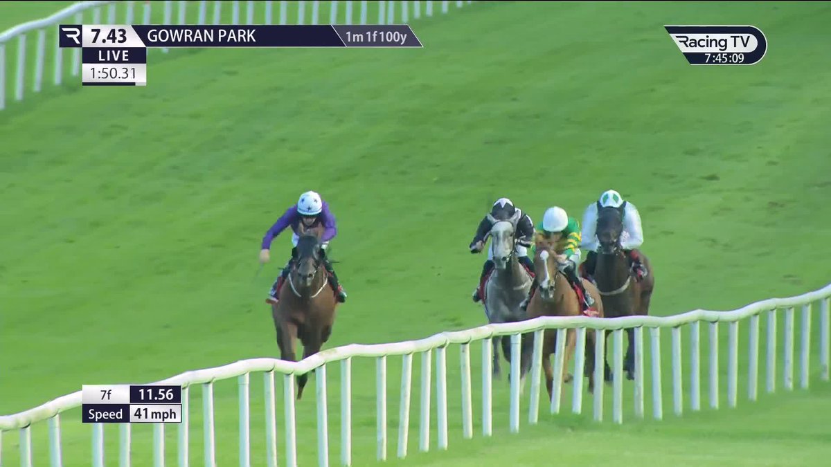 🏆 2026 🏆 2024 🏆 2023 A third win in this event for Trustyourinstinct Gowran Park