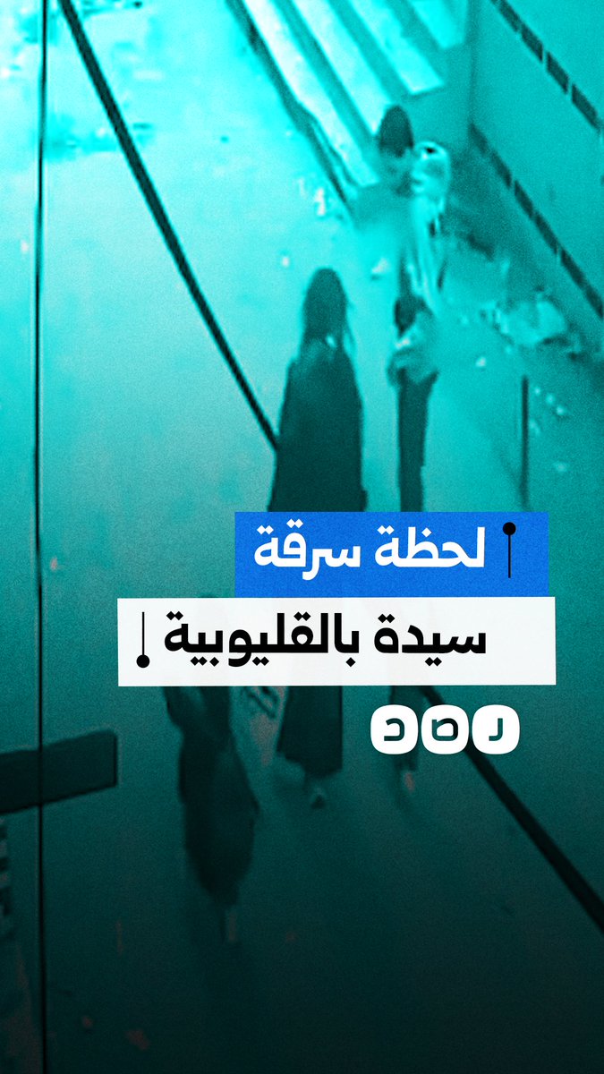 أمام زوجها وأبنائها.. لحظة سرقة سيدة في منطقة شبرا الخيمة محافظة القليوبية