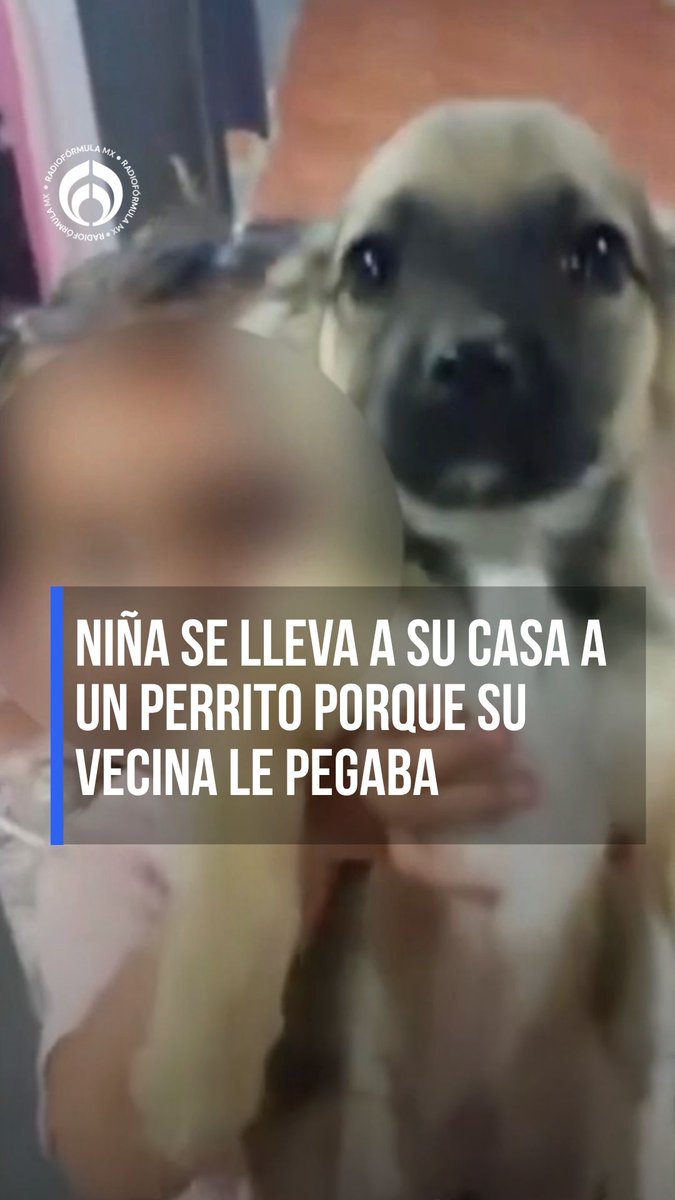 ¡Qué ternura! 🥺Niña se lleva a su casa a un perrito porque su vecina le pegaba. 🐾🐶 #RFmx #Imperdible