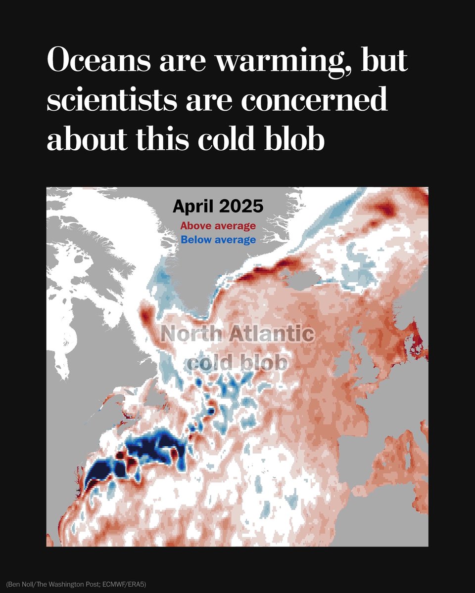 An unusual cold patch of water in the North Atlantic could signal changes in a key ocean current, which would have sweeping consequences for climate. This blob is occurring in one of the few areas where the ocean hasn’t warmed in recent decades.