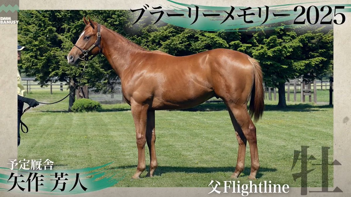 DMMバヌーシー2026年度1期募集 6月25日(木) 18時抽選募集開始 ブラーリーメモリー2025(牡.1歳) 父 Flightline 生産 千代田牧場 厩舎 矢作芳人/関西 募集総額 15000万円/ 3000口 一口金額(一括) 50000円 一口金額(分割) 8340円(6回) 20%キャッシュバック 10000円