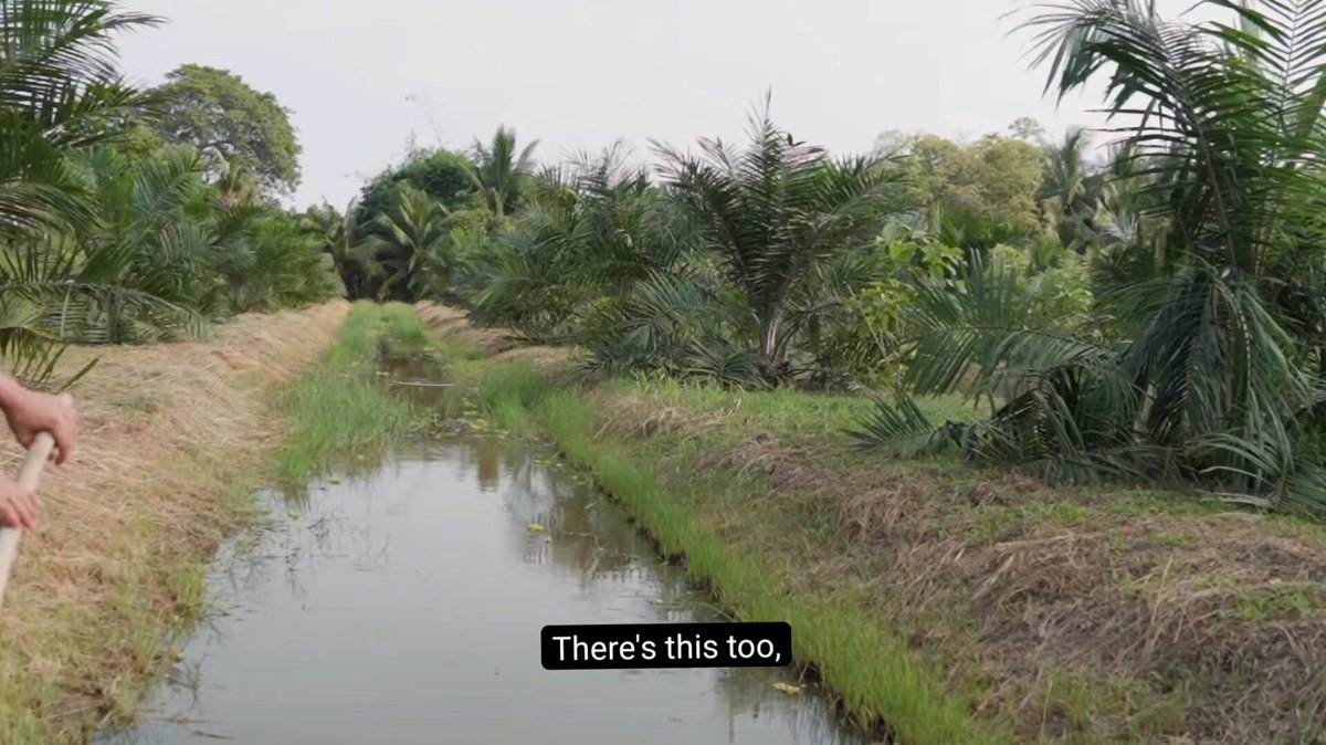 When the host suggested picking some jackfruit, Sonya was quick with an excuse : 🐰"I don't really feel like eating today." Apparently, she just didn't want to get off the boat and pick it herself, so in the end, Lookmhee ended up losing and had to go pick it with the host instead. (The original clip didn't include a translation for what Sonya said.) It also reminded me of the story Sonya shared from filming Hometown Romance. According to the script, she was supposed to take the fish out of the trap herself. But being the little trickster that she is, she didn't want to touch the fish, so she improvised on the spot, pretended to sulk and simply ordered Hia Klao/Lookmhee to do it instead. 😂 Apparently, Sonya has always had a talent for finding creative ways to avoid doing things herself. 🤭