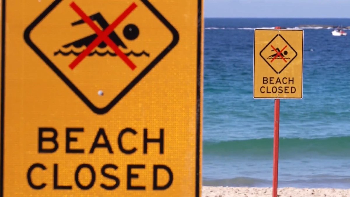 A shark mauled a woman who was swimming at Coogee Beach in Sydney, leaving her seriously injured — the latest in a series of shark attacks off Australia's coast
