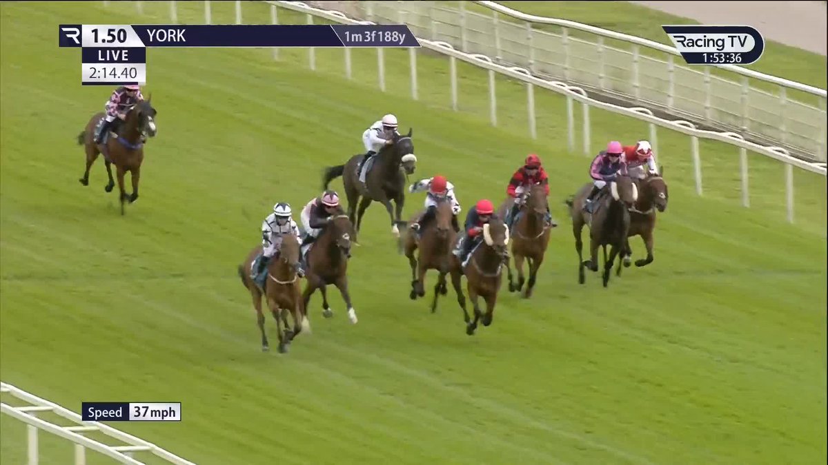 What a way to ride your first winner! ✊ Sophie Dobson bags her first success under rules as Dunkeld Dreamer edges out Humble Spark in a thrilling finish to the Queen Mother's Cup York Racecourse. The winning jockey gets her weight in champagne! 🍾 Karl Burke