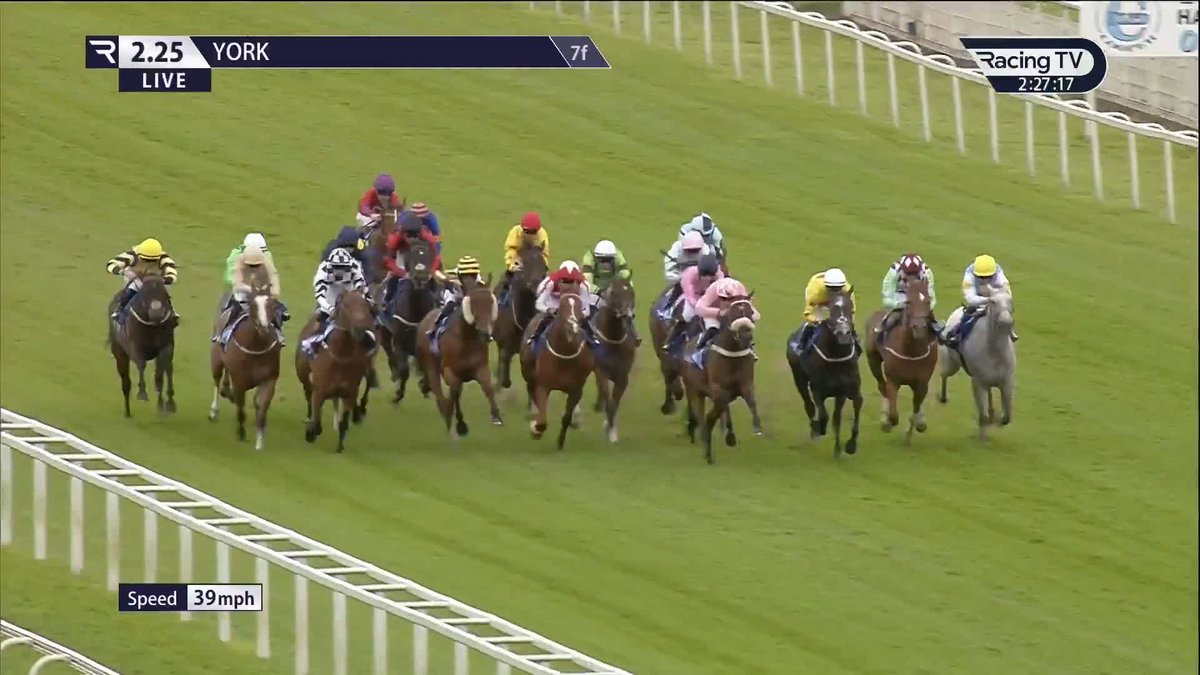 GROUP HORSE in a handicap! 🎆 When the gap came, Extremely Zain turned what should have been a competitive handicap into a procession. He holds an entry in the Sussex Stakes 👀 Somerville Lodge Stables | Cieren Fallon