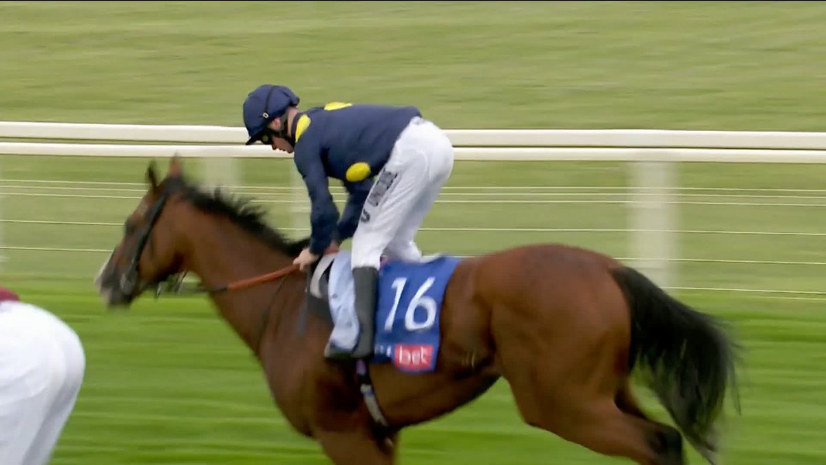 Three out of three! 🥇🥇🥇 Extremely Zain wins the Sky Bet Supporting Macmillan Handicap #ITVRacing | Cieren Fallon | Somerville Lodge Stables
