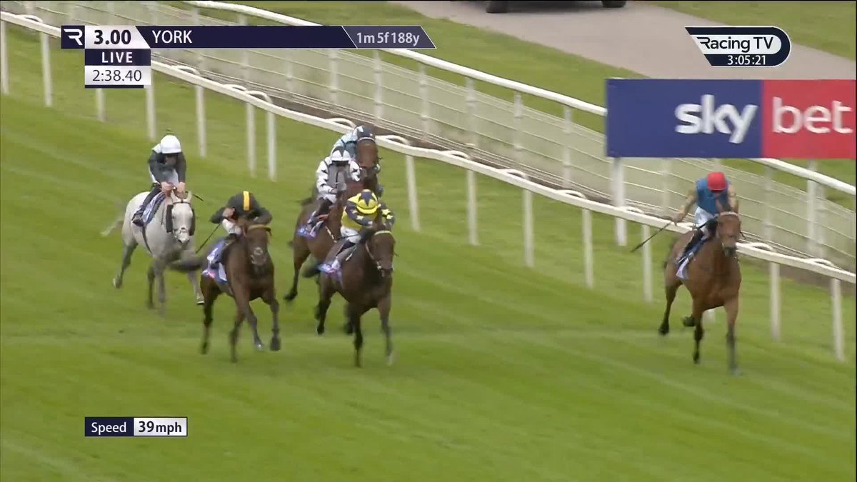 476 days off the track - no problem! ✊ Gregory, who has run only once since September 2024, makes a winning return by seeing off Mount Atlas and Tabletalk in Listed company York Racecourse. One for team Wathnan! James Doyle
