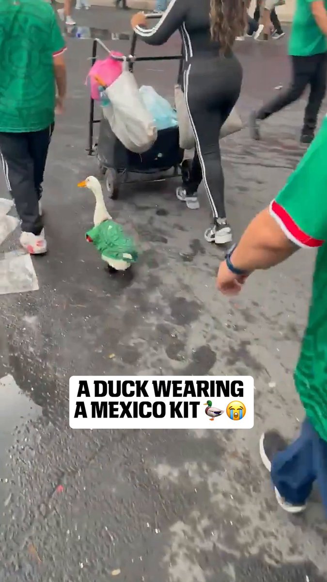 Only at the World Cup 😂🇲🇽 (via Chris Sutton)