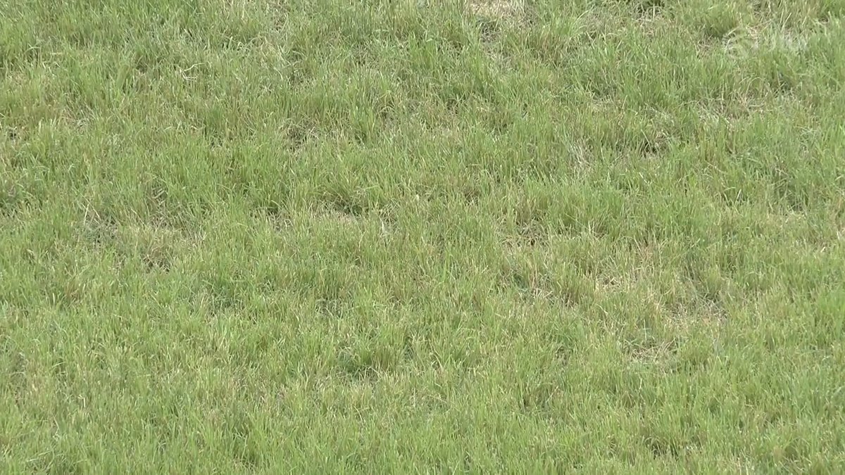 宝塚記念(GⅠ)が行われる阪神競馬場の馬場の様子です✨ 天候:曇☁️ 芝:良 ダート:良 (9:00現在)