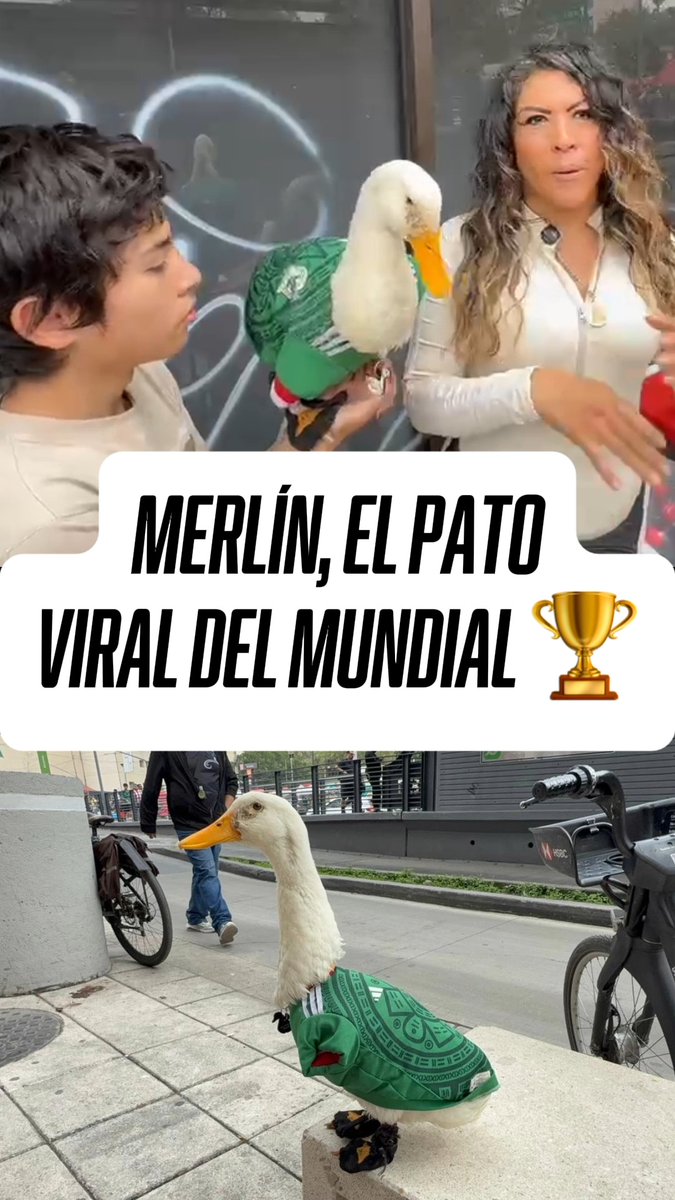 EL PATO MUNDIALISTA 🦆🔥 🤩 Él es Merlín, la mascota viral que se llevó todas las miradas durante los festejos de la afición mexicana. Ojo aquí Selección Nacional 👀