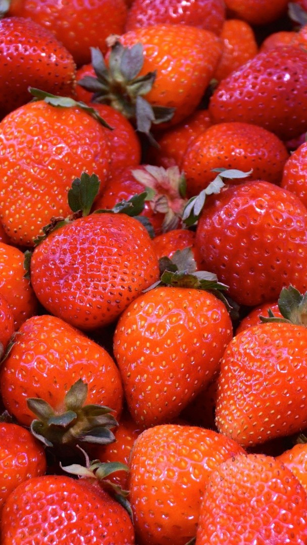 Les fraises françaises résistent et c'est un miracle 🍓 Alors que 60% des fruits mangés en France sont importés, la fraise fait exception : la production tricolore couvre plus de la moitié des 120.000 tonnes consommées chaque année dans l'Hexagone. 🎙️ Charlotte Gaire