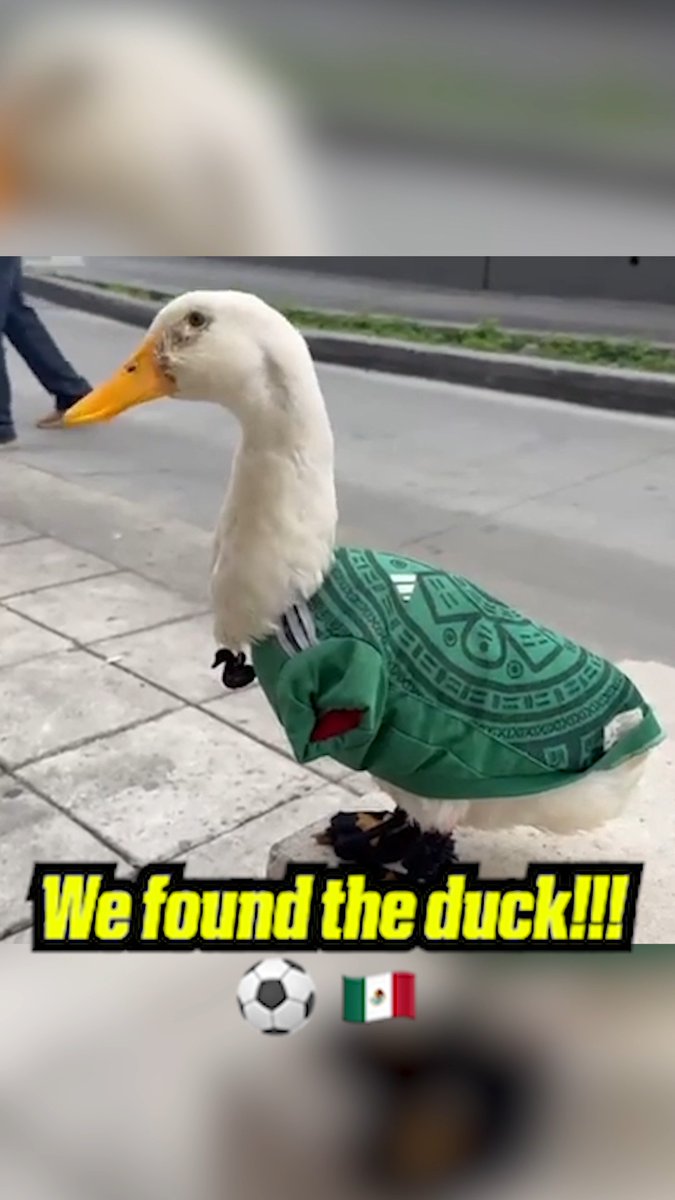 ESPN meets Merlin! 🦆 We found Merlin the duck, and he's kitted out in Mexico colours of course! 🇲🇽 #FIFAWorldCup2026