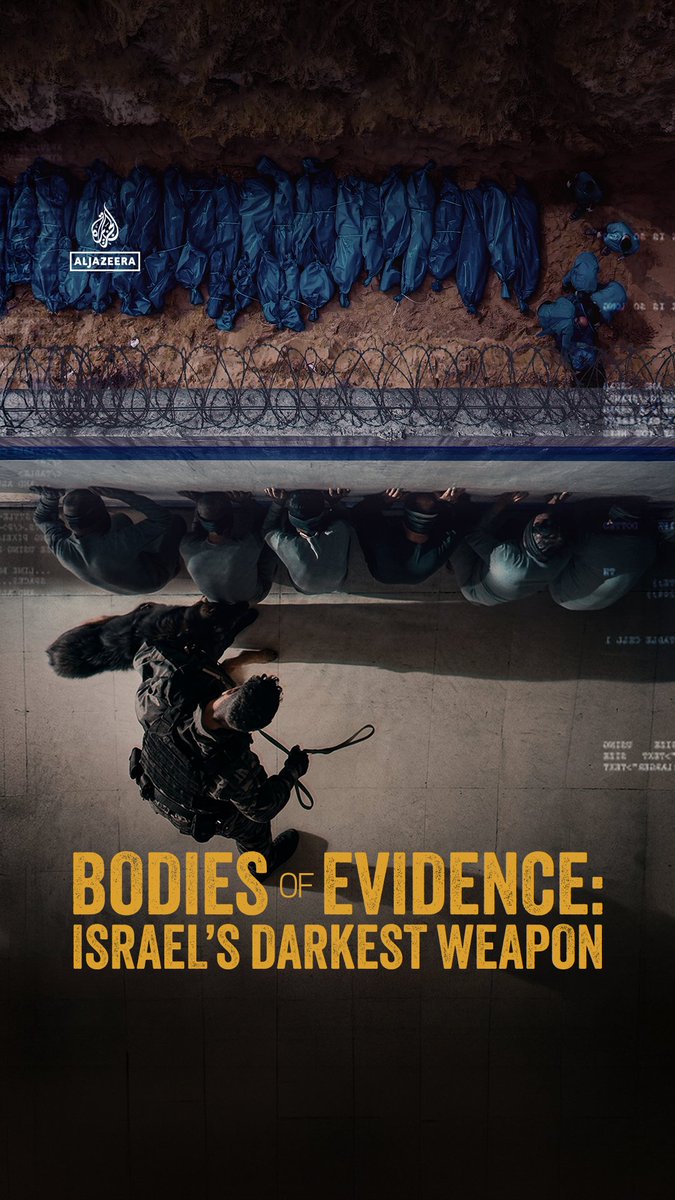 "This is the only way they would talk." How do human rights investigators document allegations of torture against Palestinian detainees by Israeli authorities? Watch Bodies of Evidence: Israel’s Darkest Weapon, an Al Jazeera original investigation