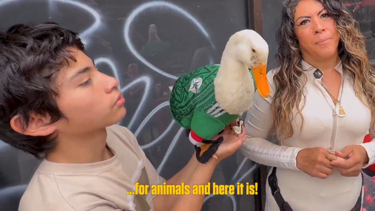 The 🇲🇽 Mexican duck that has already gone viral at the FIFA World Cup. And our friends at ESPN.com.mx got an interview with him! (Well, technically, his owner) 🦆🦆🦆 #WorldCup