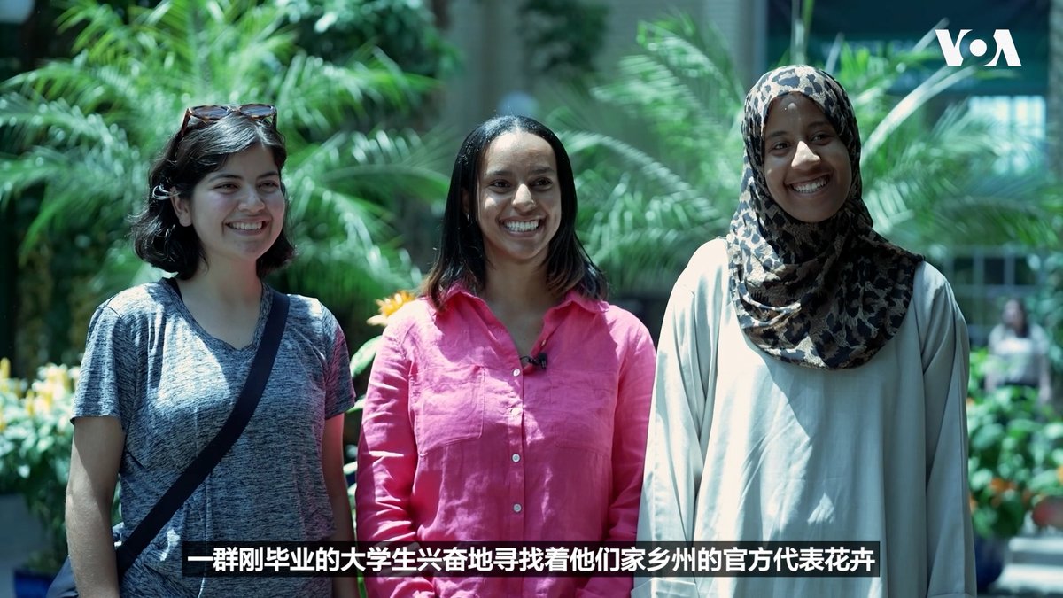 美国准备在今年7月4日庆祝建国250周年,位于华盛顿的美国国家植物园正通过一场鲜花展览,来纪念这一里程碑式的时刻,展览汇集了每个州和领地的官方代表花卉。 更多内容👉 🇺🇸