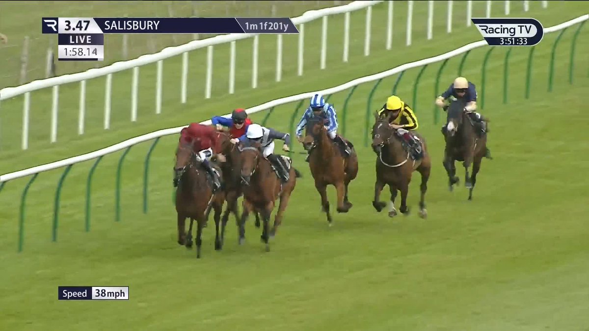 ๐๐ข๐ฅ๐ ๐๐ข๐จ๐ฅ๐๐ญ blossoms in the fillies' novice stakes Salisbury Racecourse ๐ธ Michael Bell's three-year-old daughter of Zarak (5-2) claims an utterly deserved success following two previous stout efforts in defeat