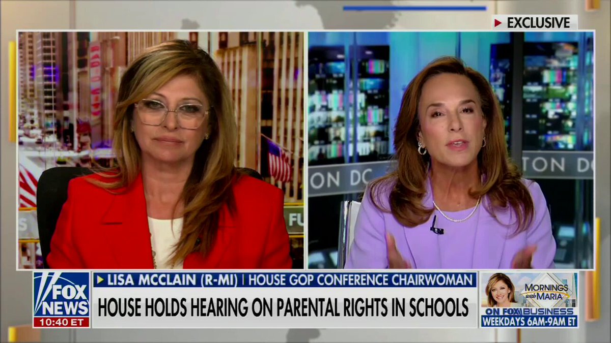 Rep. Lisa McClain on the midterms: "It's gonna be a contrast election between common sense and crazy"