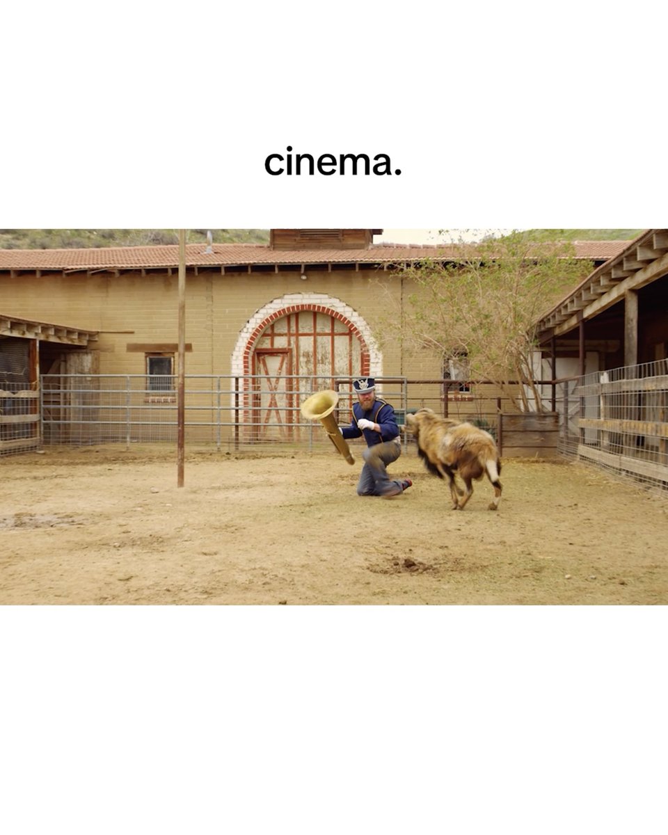 does music soothe the savage beast? you never know until you know, but when an animal is called a ram we probably shoulda known. see jackass: best and last in theatres june 26.